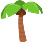 Palm Tree
