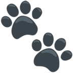 Paw Prints