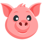 Pig Face