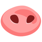 Pig Nose