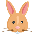 Rabbit Face