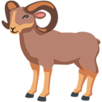 Ram