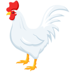 Rooster