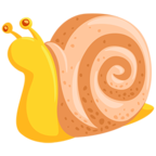 Snail