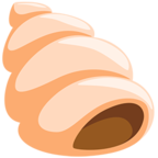 Spiral Shell