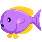 Tropical Fish