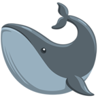 Whale