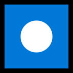 Record Button
