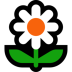 Blossom