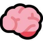 Brain