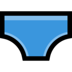 Briefs