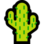 Cactus