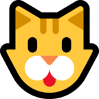 Cat Face