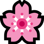 Cherry Blossom