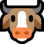 Cow Face