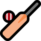 Cricket Game