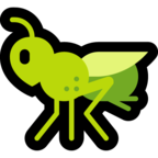 Cricket