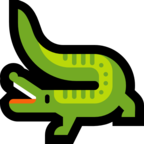 Crocodile