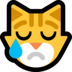 Crying Cat
