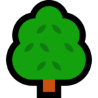 Deciduous Tree