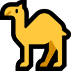 Camel