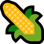 Ear of Corn