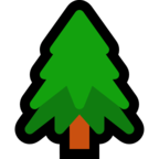 Evergreen Tree