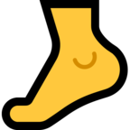 Foot