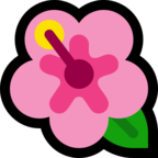 Hibiscus