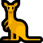 Kangaroo