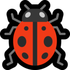 Lady Beetle