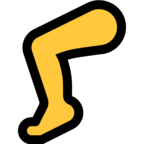 Leg