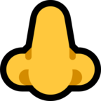 Nose