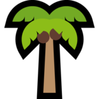 Palm Tree
