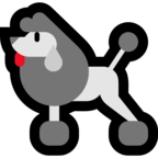Poodle