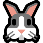 Rabbit Face