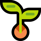 Seedling