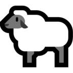 Ewe