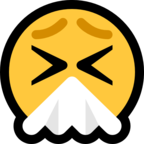 Sneezing Face