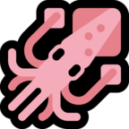 Squid