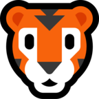 Tiger Face