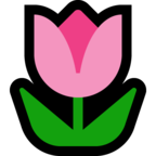 Tulip