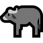 Water Buffalo