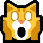 Weary Cat