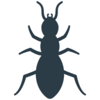 Ant