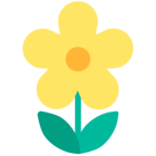 Blossom