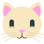 Cat Face