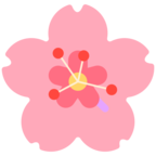 Cherry Blossom