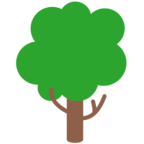 Deciduous Tree