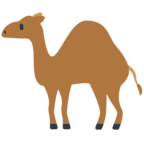 Camel